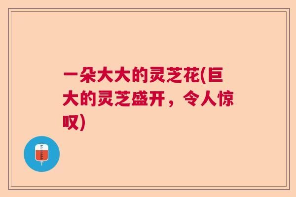 一朵大大的灵芝花(巨大的灵芝盛开，令人惊叹)  第1张