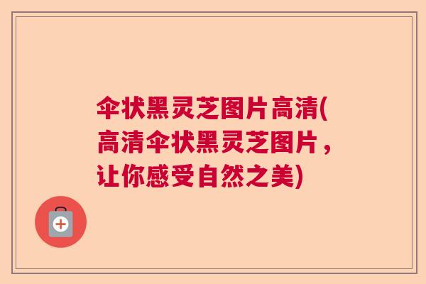 伞状黑灵芝图片高清(高清伞状黑灵芝图片，让你感受自然之美)  第1张