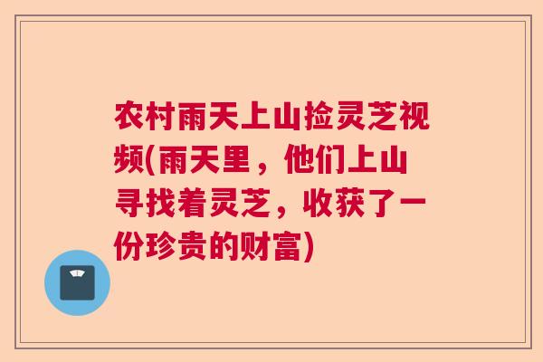 农村雨天上山捡灵芝视频(雨天里，他们上山寻找着灵芝，收获了一份珍贵的财富)  第1张
