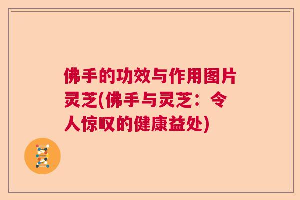 佛手的功效与作用图片灵芝(佛手与灵芝：令人惊叹的健康益处)  第1张
