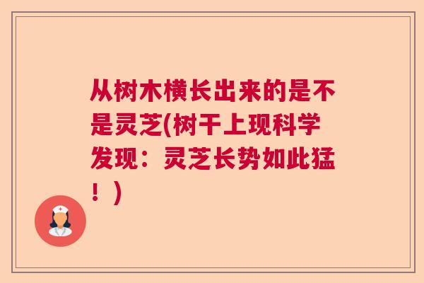 从树木横长出来的是不是灵芝(树干上现科学发现：灵芝长势如此猛！)  第1张