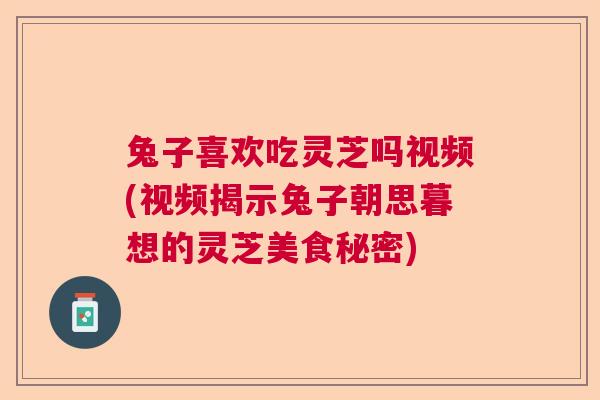 兔子喜欢吃灵芝吗视频(视频揭示兔子朝思暮想的灵芝美食秘密)  第1张