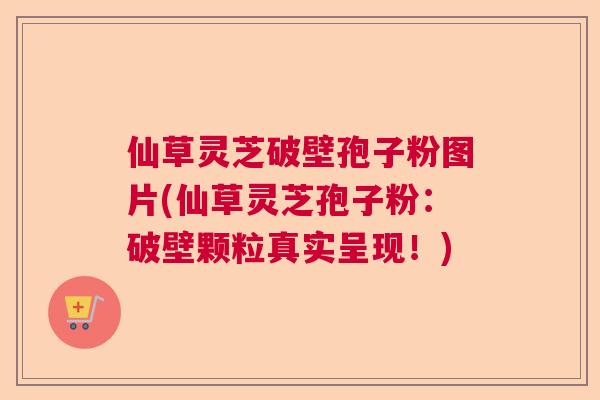 仙草灵芝破壁孢子粉图片(仙草灵芝孢子粉：破壁颗粒真实呈现！)  第1张