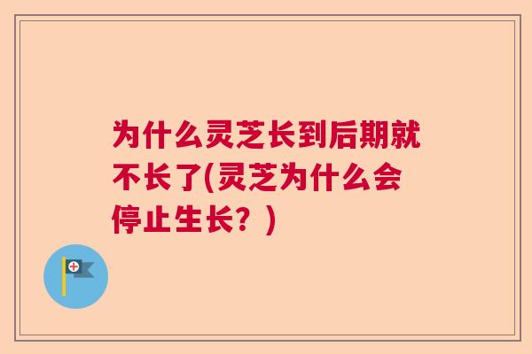 为什么灵芝长到后期就不长了(灵芝为什么会停止生长？)  第1张