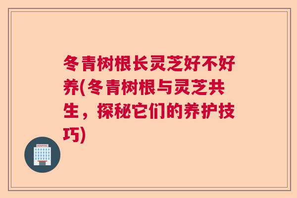 冬青树根长灵芝好不好养(冬青树根与灵芝共生，探秘它们的养护技巧)  第1张