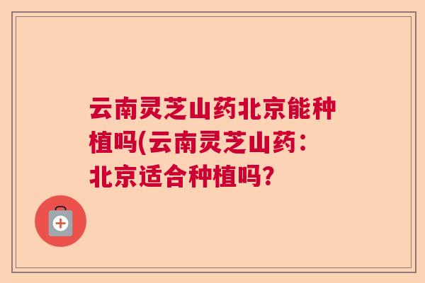 云南灵芝山药北京能种植吗(云南灵芝山药：北京适合种植吗？  第1张