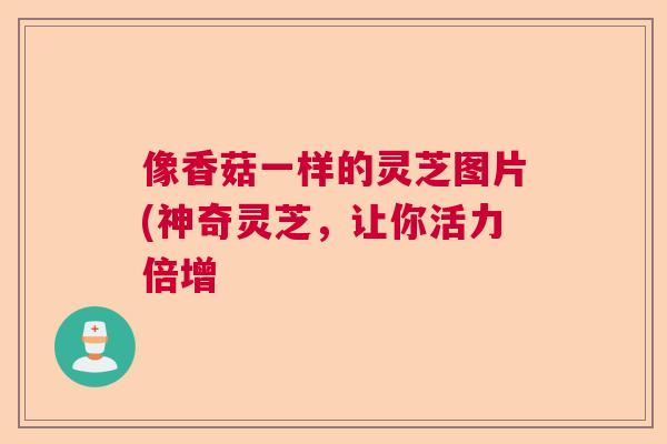 像香菇一样的灵芝图片(神奇灵芝，让你活力倍增  第1张