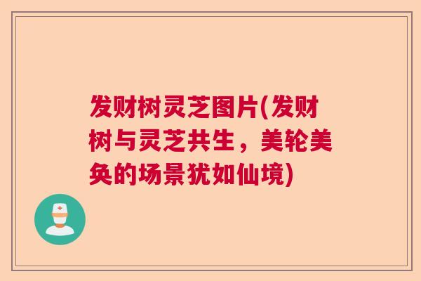 发财树灵芝图片(发财树与灵芝共生，美轮美奂的场景犹如仙境)  第1张