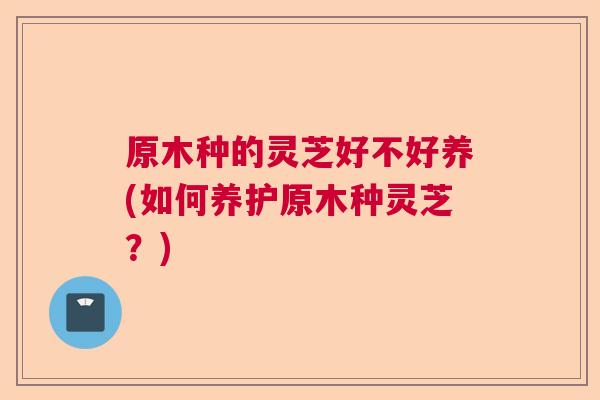 原木种的灵芝好不好养(如何养护原木种灵芝？)  第1张