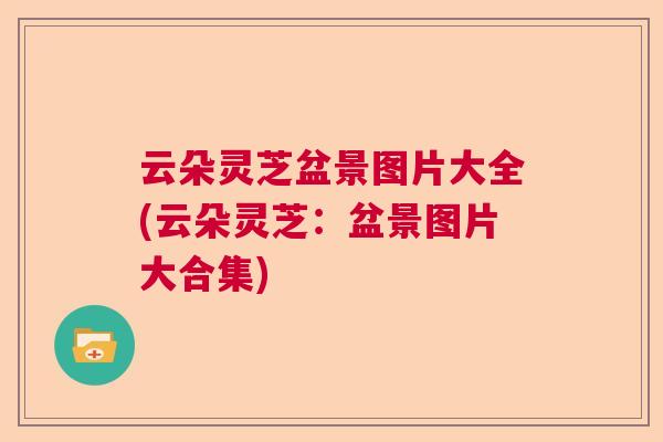 云朵灵芝盆景图片大全(云朵灵芝：盆景图片大合集)  第1张