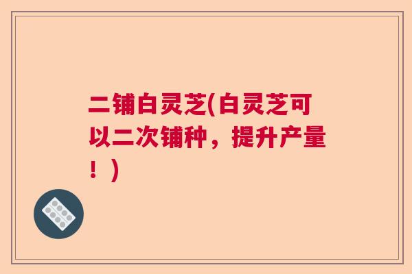 二铺白灵芝(白灵芝可以二次铺种，提升产量！)  第1张