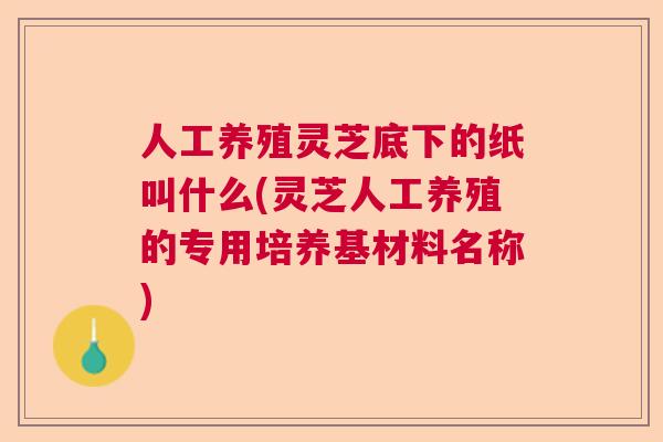 人工养殖灵芝底下的纸叫什么(灵芝人工养殖的专用培养基材料名称)  第1张