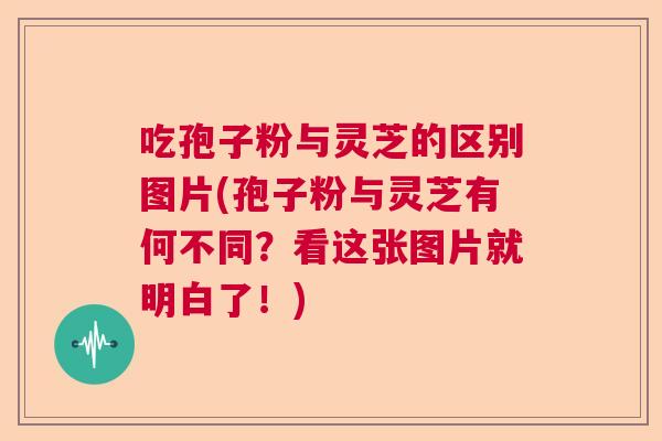 吃孢子粉与灵芝的区别图片(孢子粉与灵芝有何不同？看这张图片就明白了！)  第1张