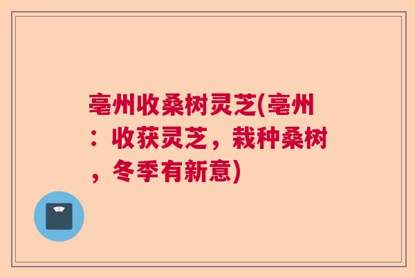 亳州收桑树灵芝(亳州：收获灵芝，栽种桑树，冬季有新意)  第1张