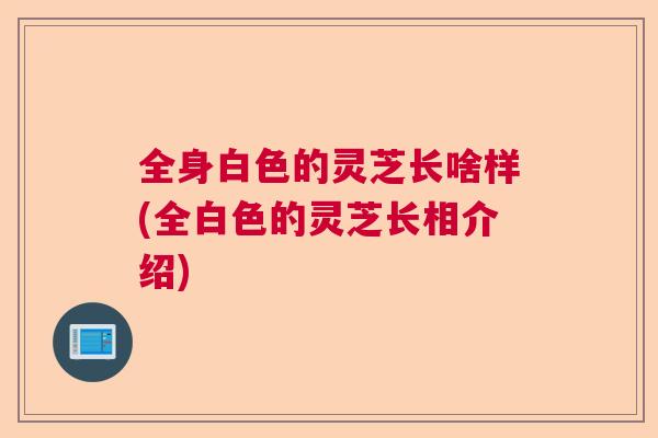 全身白色的灵芝长啥样(全白色的灵芝长相介绍)  第1张
