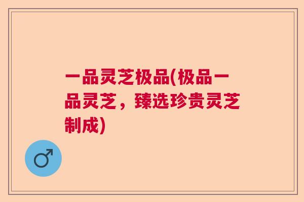 一品灵芝极品(极品一品灵芝，臻选珍贵灵芝制成)  第1张