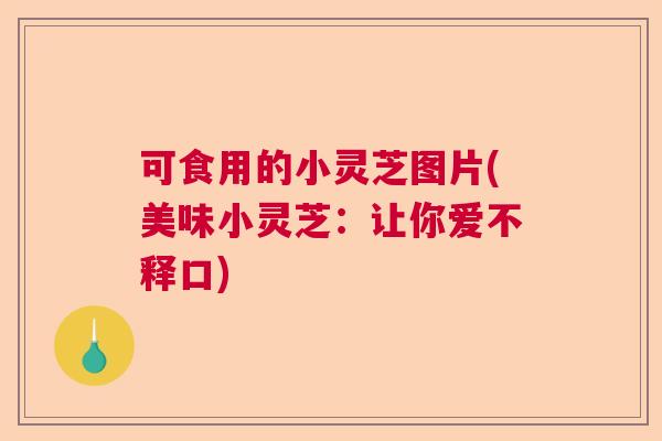 可食用的小灵芝图片(美味小灵芝：让你爱不释口)  第1张