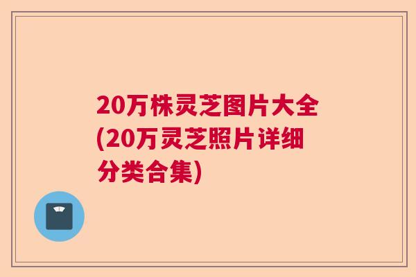 20万株灵芝图片大全(20万灵芝照片详细分类合集)  第1张