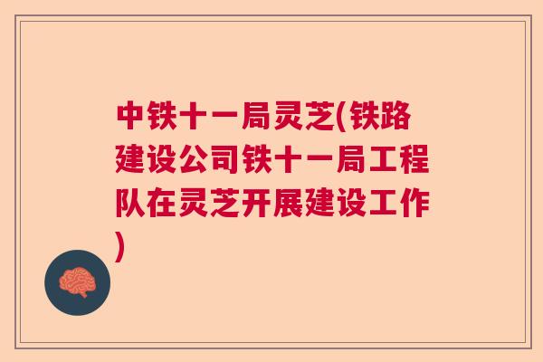 中铁十一局灵芝(铁路建设公司铁十一局工程队在灵芝开展建设工作)  第1张