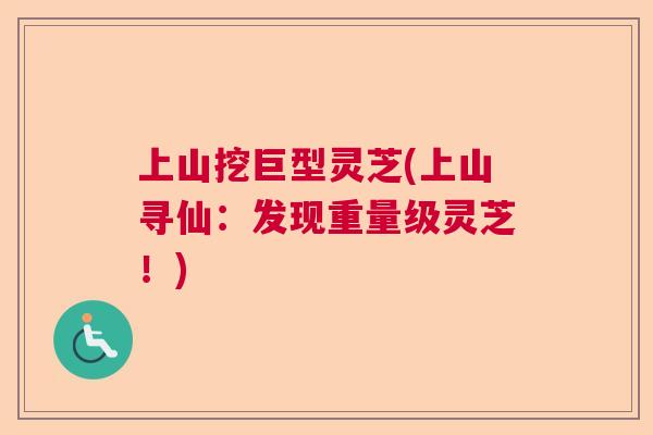 上山挖巨型灵芝(上山寻仙：发现重量级灵芝！)  第1张