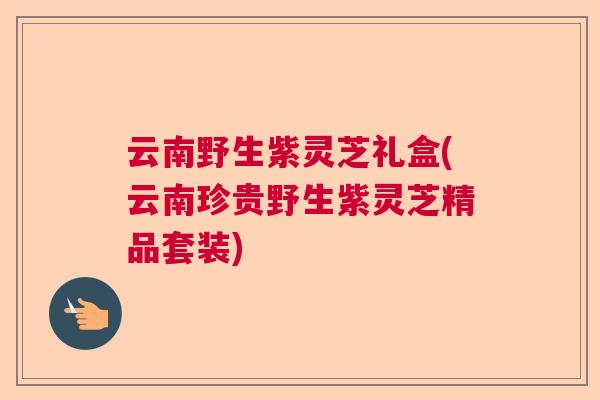 云南野生紫灵芝礼盒(云南珍贵野生紫灵芝精品套装)  第1张