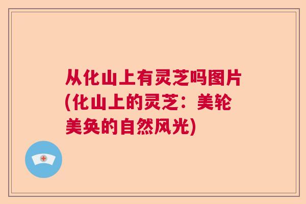 从化山上有灵芝吗图片(化山上的灵芝：美轮美奂的自然风光)  第1张