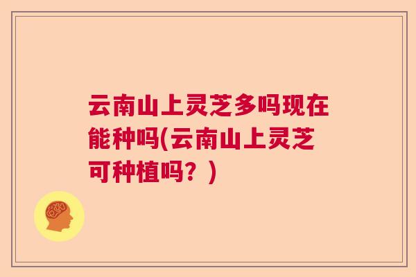 云南山上灵芝多吗现在能种吗(云南山上灵芝可种植吗？)  第1张