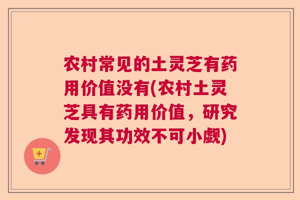农村常见的土灵芝有药用价值没有(农村土灵芝具有药用价值，研究发现其功效不可小觑)  第1张