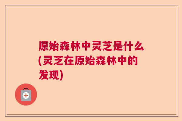 原始森林中灵芝是什么(灵芝在原始森林中的发现)  第1张