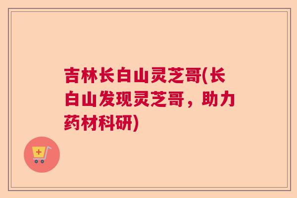 吉林长白山灵芝哥(长白山发现灵芝哥，助力药材科研)  第1张