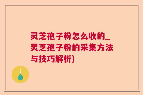灵芝孢子粉怎么收的_灵芝孢子粉的采集方法与技巧解析)  第1张