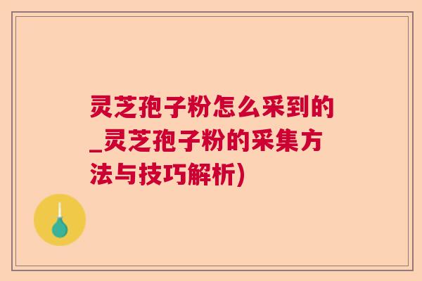 灵芝孢子粉怎么采到的_灵芝孢子粉的采集方法与技巧解析)  第1张