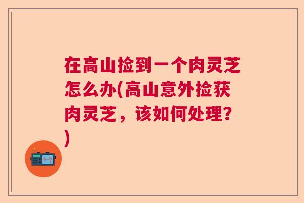 在高山捡到一个肉灵芝怎么办(高山意外捡获肉灵芝，该如何处理？)  第1张