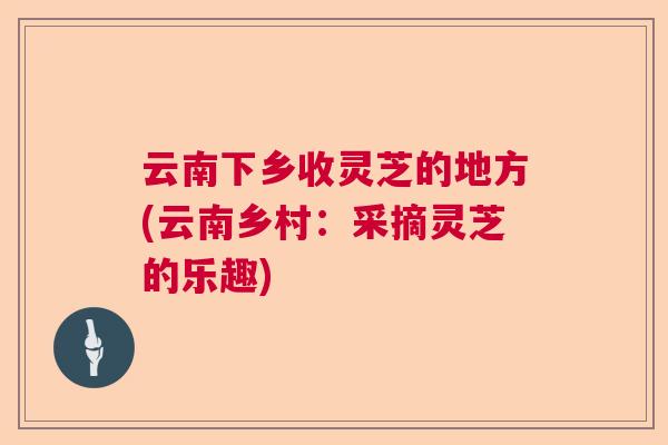 云南下乡收灵芝的地方(云南乡村：采摘灵芝的乐趣)  第1张