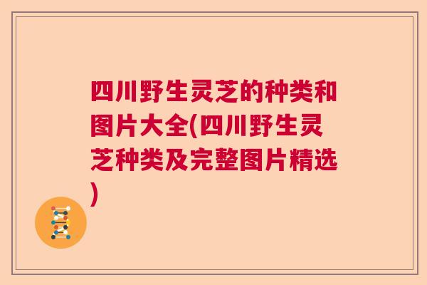 四川野生灵芝的种类和图片大全(四川野生灵芝种类及完整图片精选)  第1张