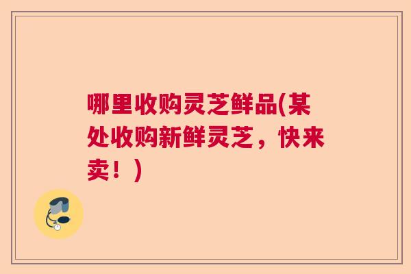 哪里收购灵芝鲜品(某处收购新鲜灵芝，快来卖！)  第1张