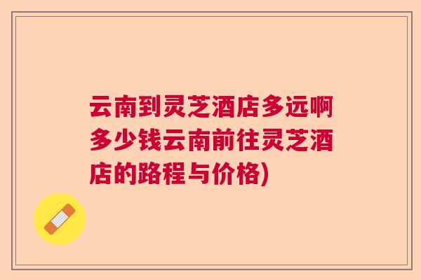 云南到灵芝酒店多远啊多少钱云南前往灵芝酒店的路程与价格)  第1张
