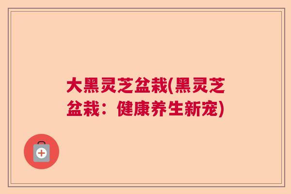 大黑灵芝盆栽(黑灵芝盆栽：健康养生新宠)  第1张