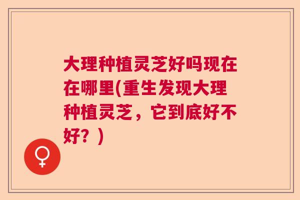 大理种植灵芝好吗现在在哪里(重生发现大理种植灵芝，它到底好不好？)  第1张