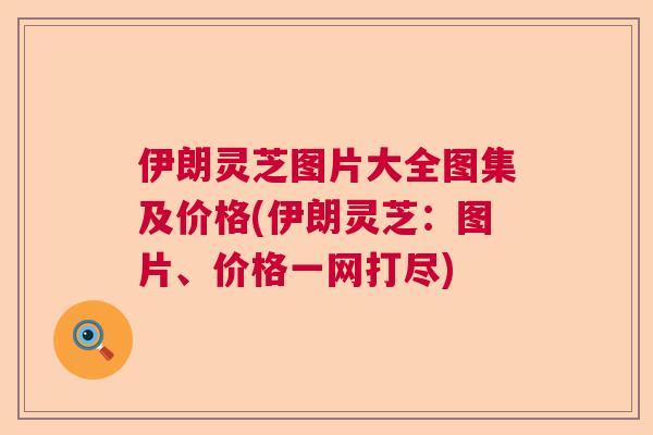 伊朗灵芝图片大全图集及价格(伊朗灵芝：图片、价格一网打尽)  第1张