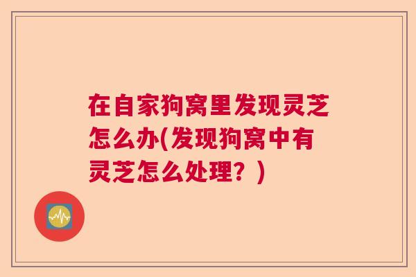 在自家狗窝里发现灵芝怎么办(发现狗窝中有灵芝怎么处理？)  第1张