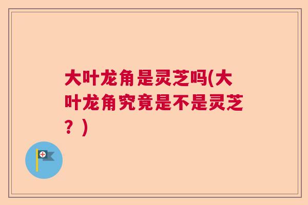大叶龙角是灵芝吗(大叶龙角究竟是不是灵芝？)  第1张