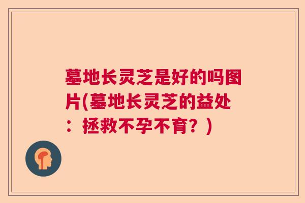 墓地长灵芝是好的吗图片(墓地长灵芝的益处：拯救不孕不育？)  第1张