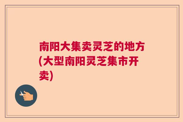 南阳大集卖灵芝的地方(大型南阳灵芝集市开卖)  第1张