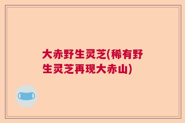 大赤野生灵芝(稀有野生灵芝再现大赤山)  第1张