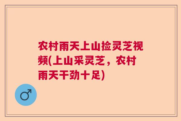 农村雨天上山捡灵芝视频(上山采灵芝，农村雨天干劲十足)  第1张