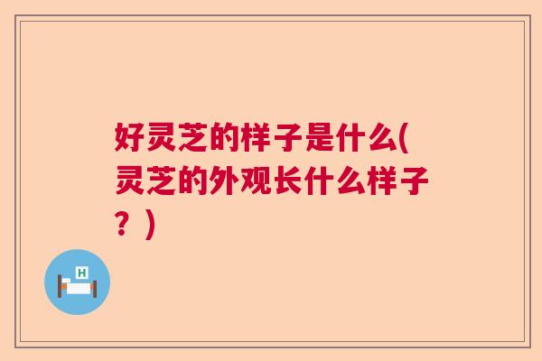 好灵芝的样子是什么(灵芝的外观长什么样子？)  第1张