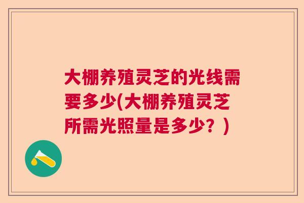 大棚养殖灵芝的光线需要多少(大棚养殖灵芝所需光照量是多少？)  第1张