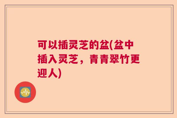 可以插灵芝的盆(盆中插入灵芝，青青翠竹更迎人)  第1张