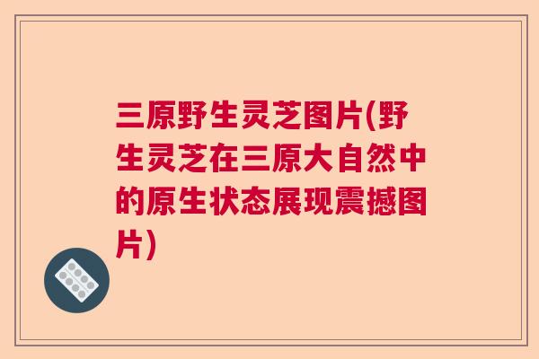 三原野生灵芝图片(野生灵芝在三原大自然中的原生状态展现震撼图片)  第1张